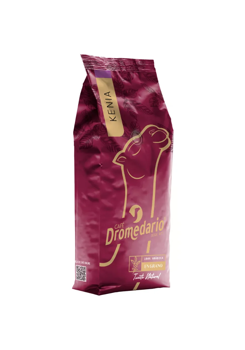 Dromedario Kenia - Dromedario